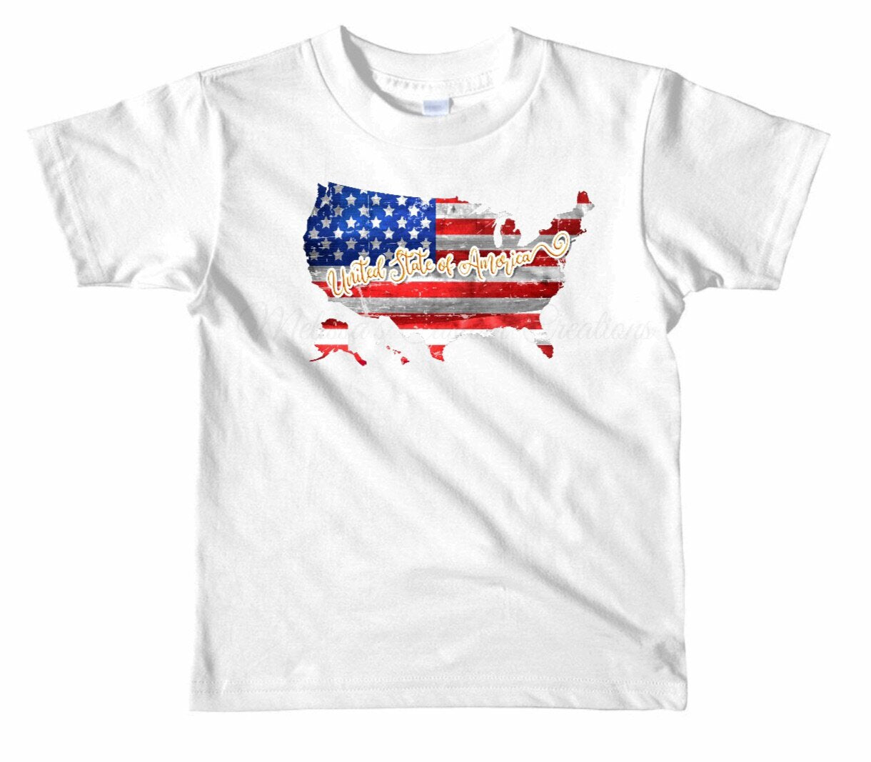 United States of America T-Shirt