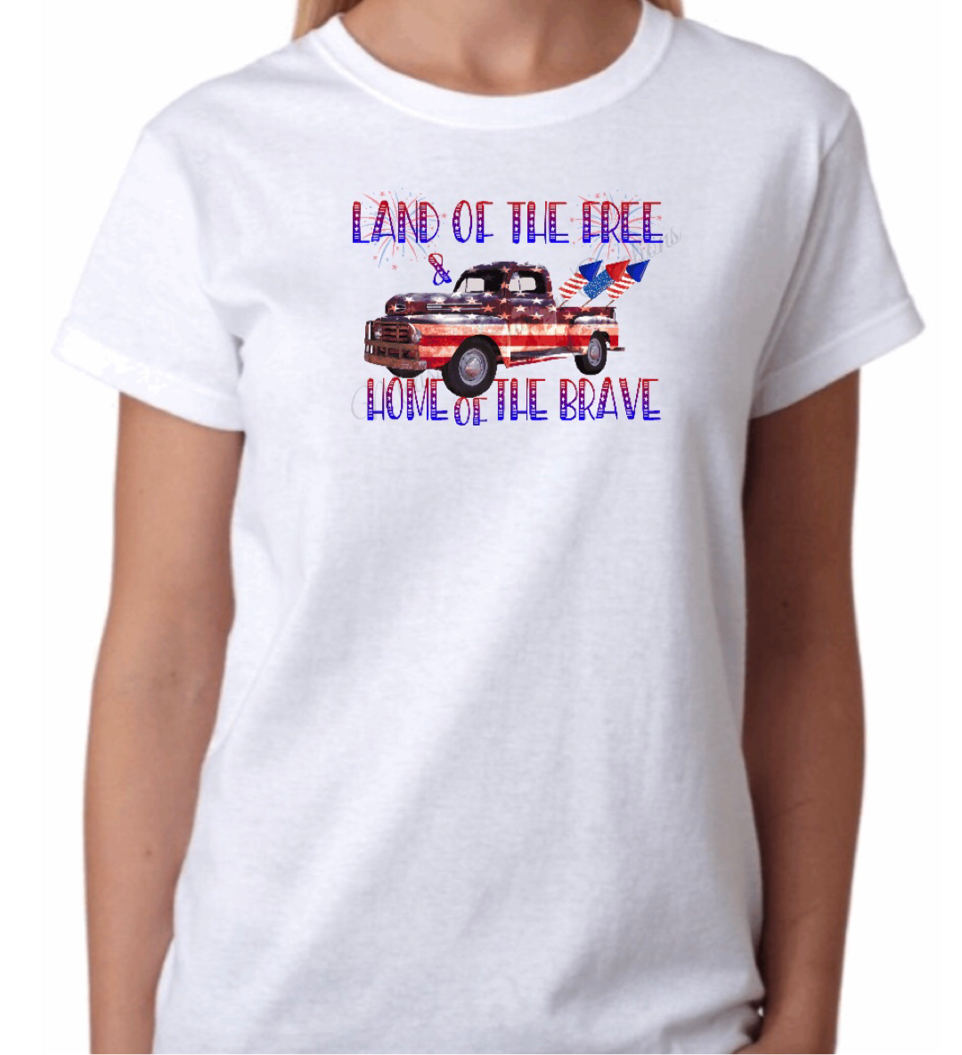 Land of the Free, Home of the Brave T-Shirt